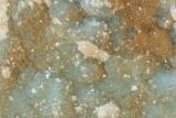 Quartz Crystal Encrusted Shattuckite - Congo #146712-2